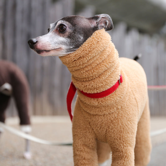 Boa Fleece (camel) - Italian Greyhound Clothes