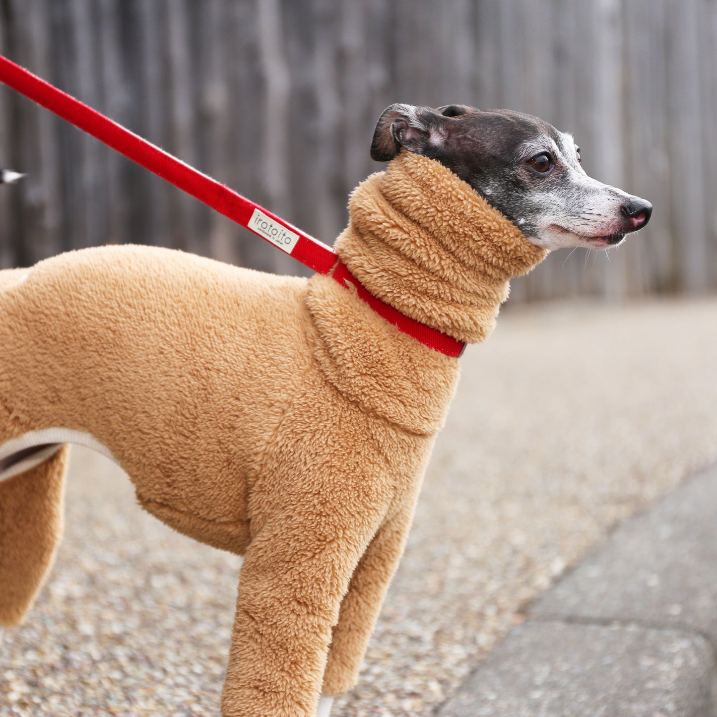 Boa Fleece (camel) - Italian Greyhound Clothes