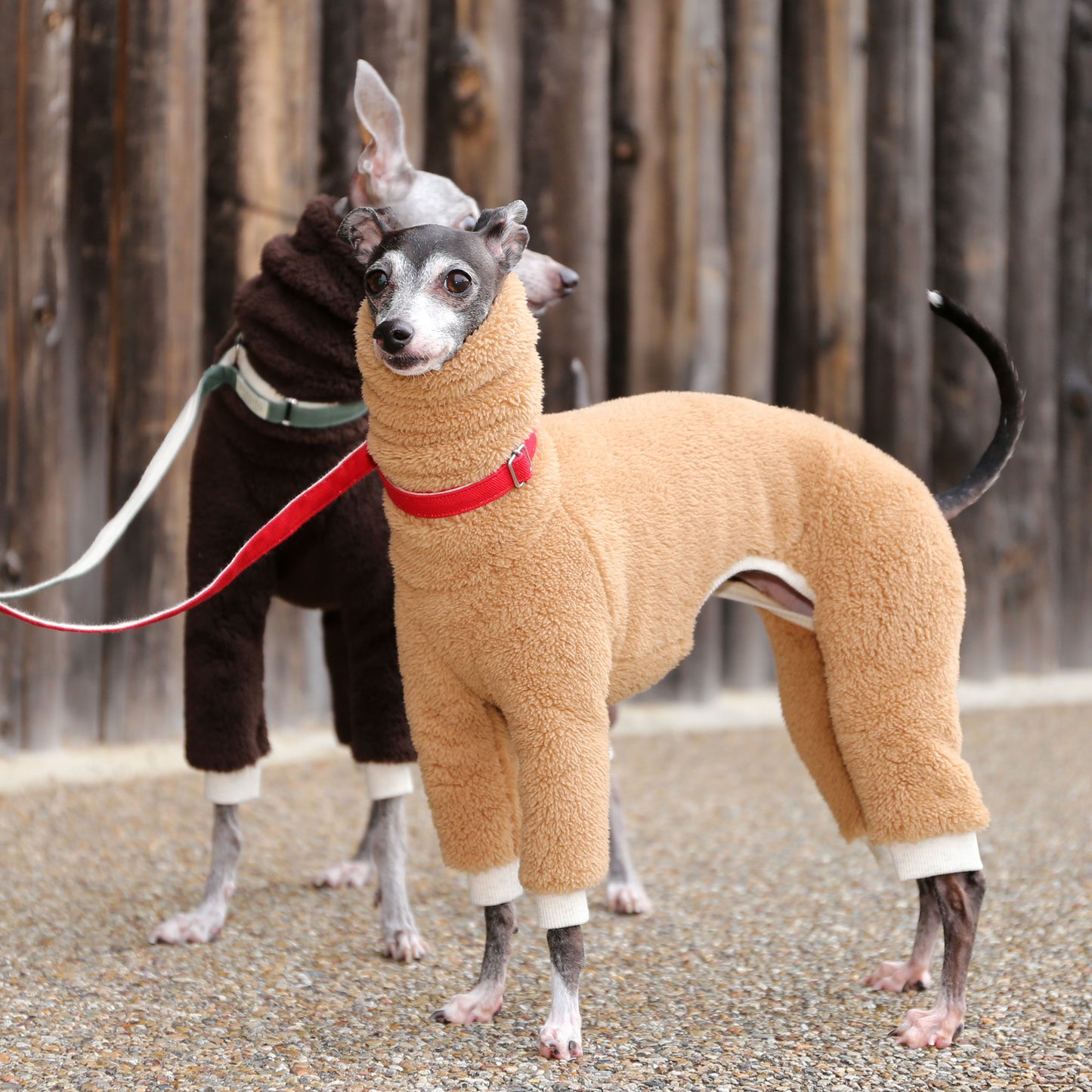 Boa Fleece (camel) - Italian Greyhound Clothes