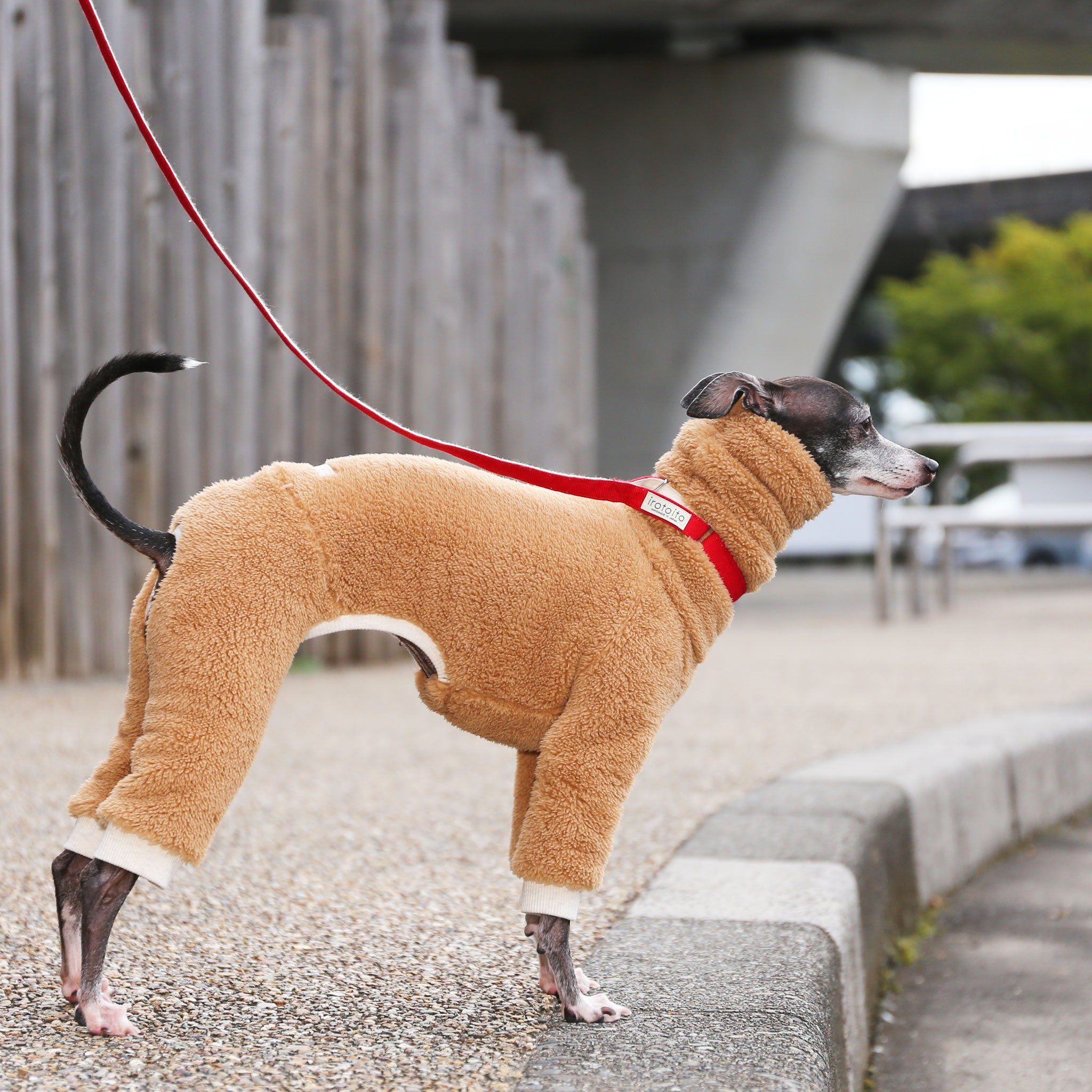 Italian hotsell greyhound fleece