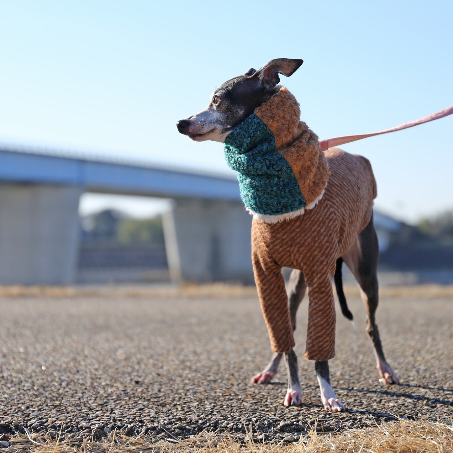 Bicolor Neck Warmer (cerulean blue+cinnamon)