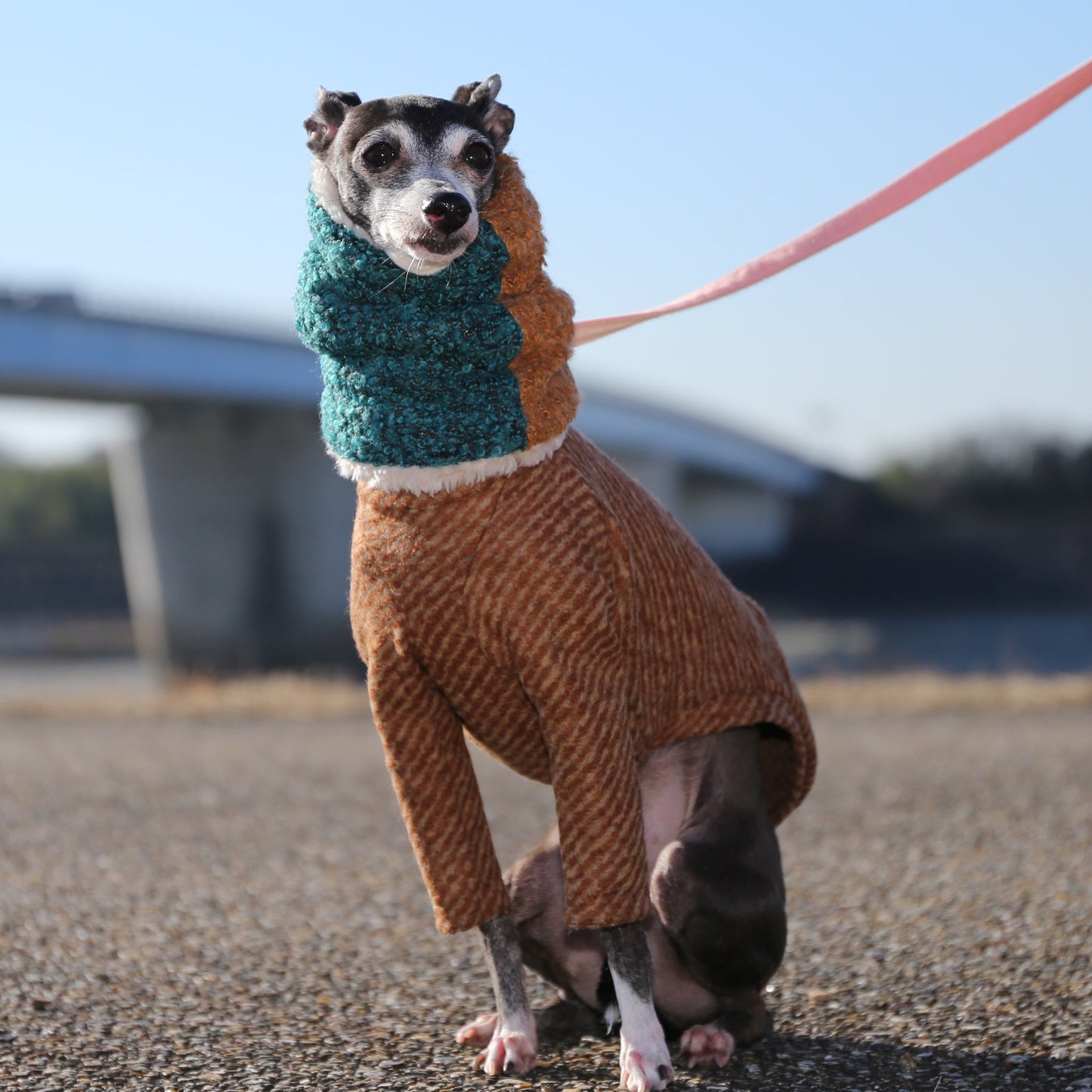 Bicolor Neck Warmer (cerulean blue+cinnamon)