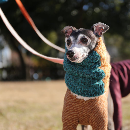 Bicolor Neck Warmer (cerulean blue+cinnamon)