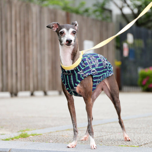 Ripple knit in stripe print (navy) - Italian Greyhound Clothes