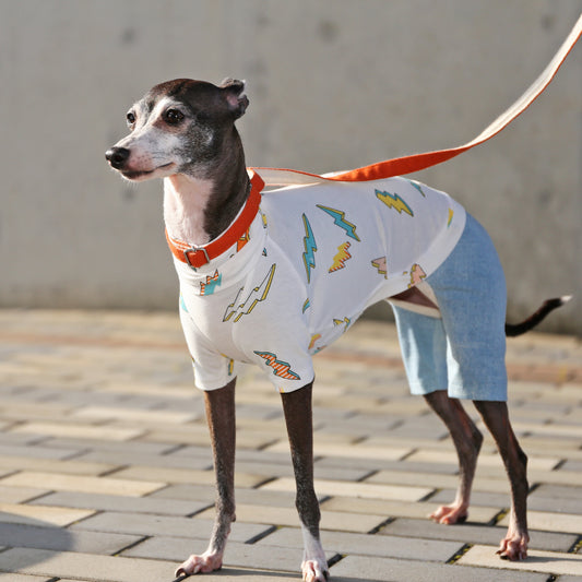 INAZUMA*organic cotton (orange) - Italian Greyhound Clothes