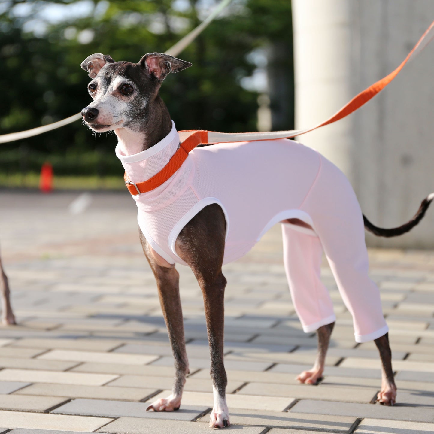 Sports mesh rompers(baby pink) - Italian Greyhound Clothes