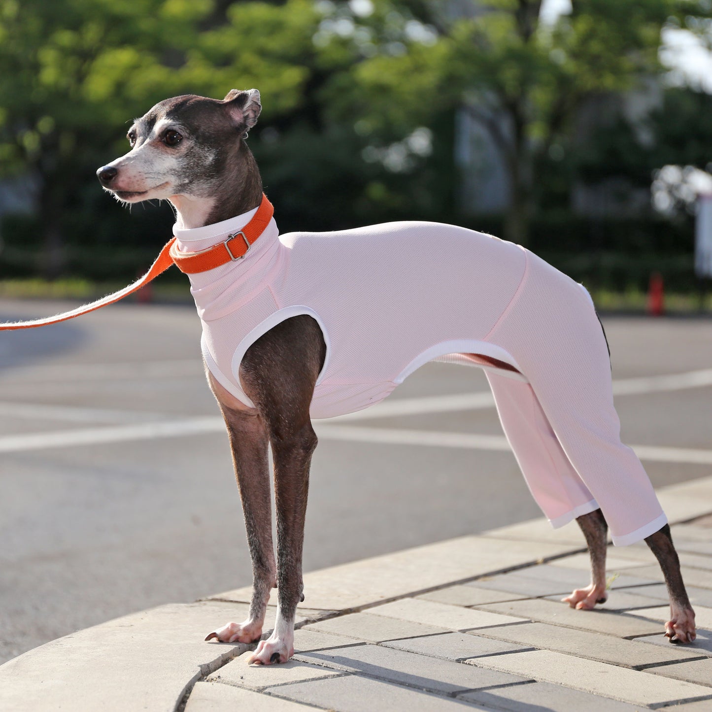 Sports mesh rompers(baby pink) - Italian Greyhound Clothes