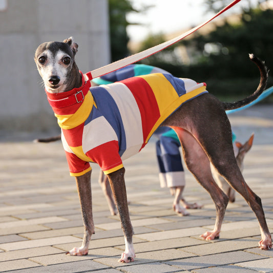 Wide Horizontal Stripes (red)