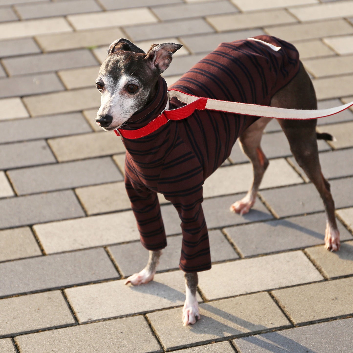 Two Stripes (maroon)