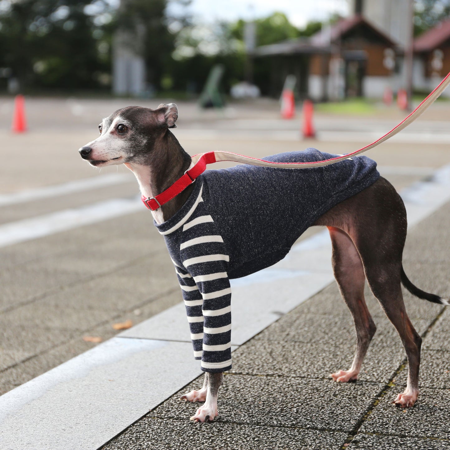 Soft lined knit (navy)