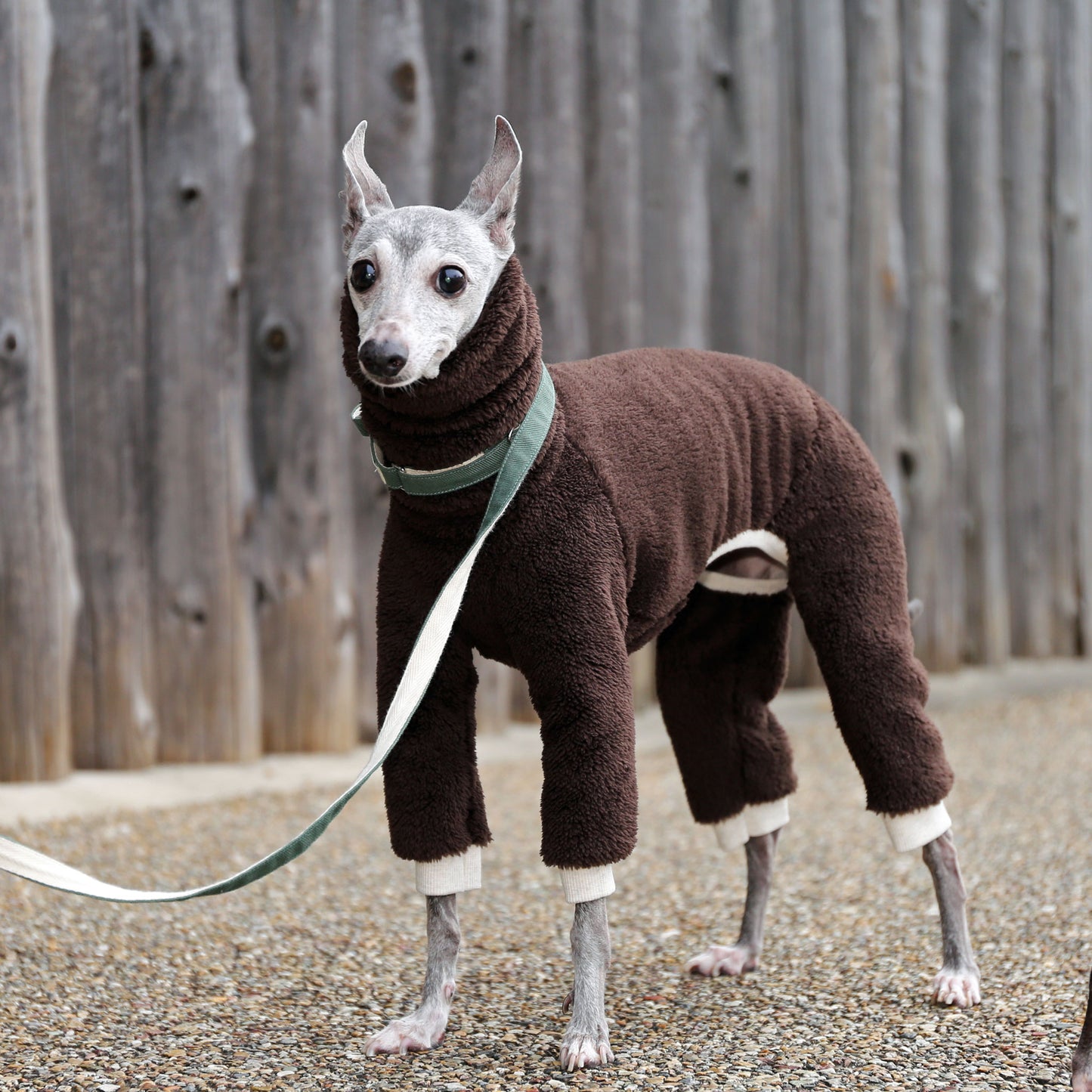 Boa Fleece (chocholate) - Italian Greyhound Clothes