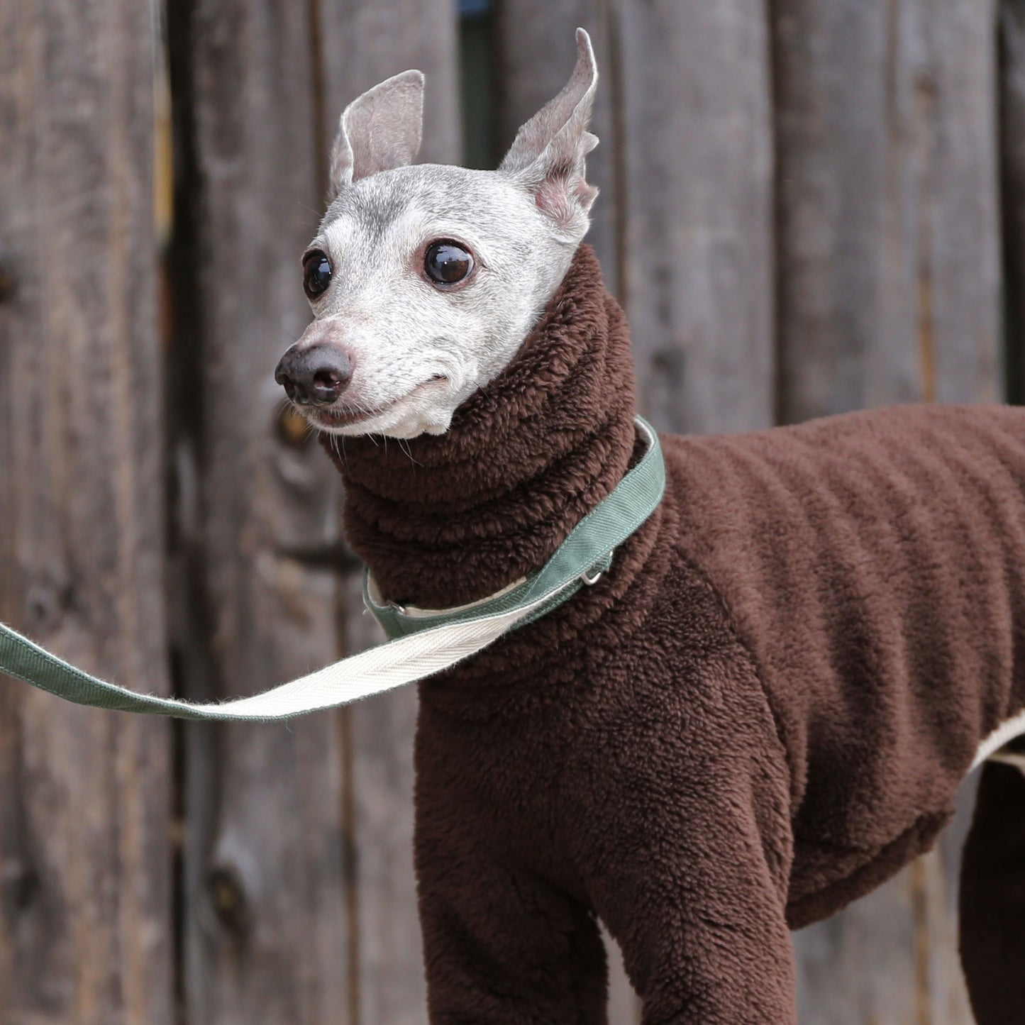 Boa Fleece (chocholate) - Italian Greyhound Clothes