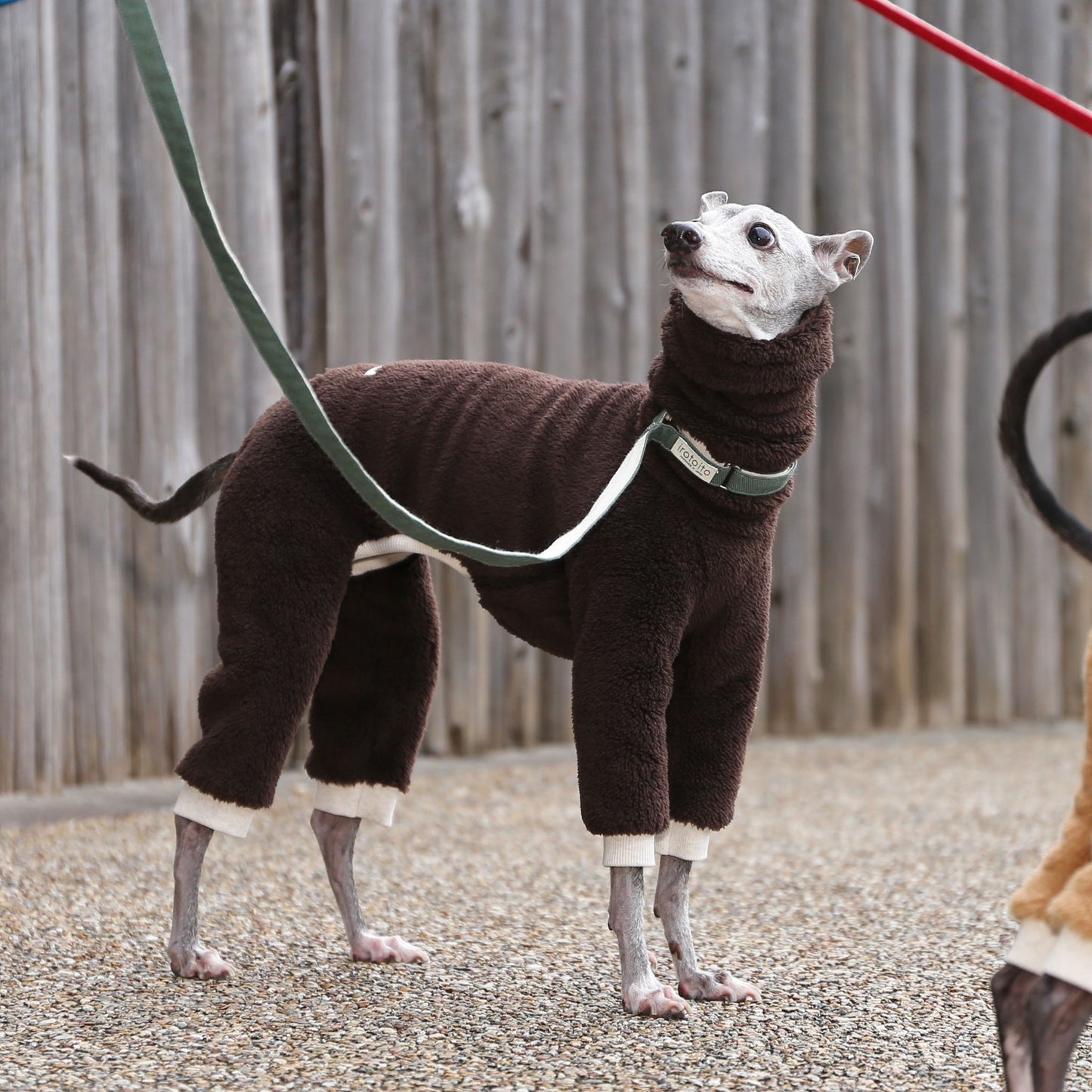 Boa Fleece (chocholate) - Italian Greyhound Clothes