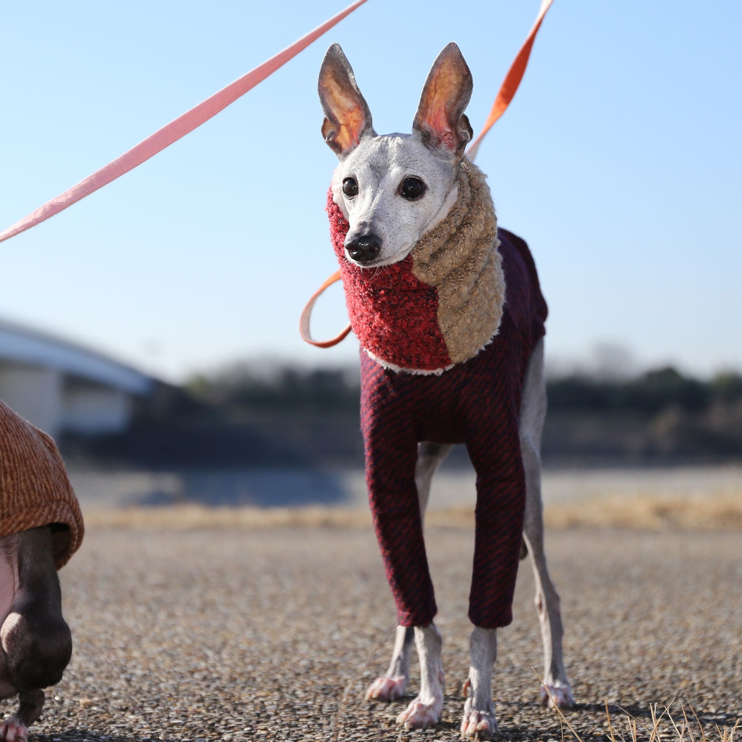 Bicolor Neck Warmer (carmine+ecru)