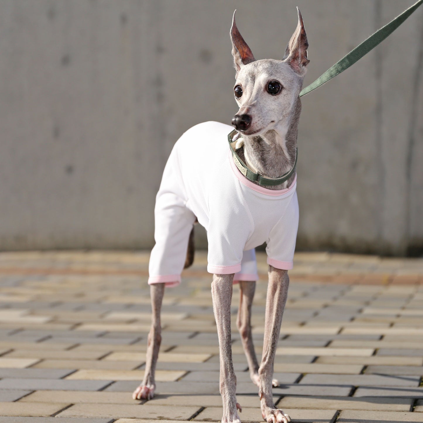 Sports mesh rompers(white) - Italian Greyhound Clothes