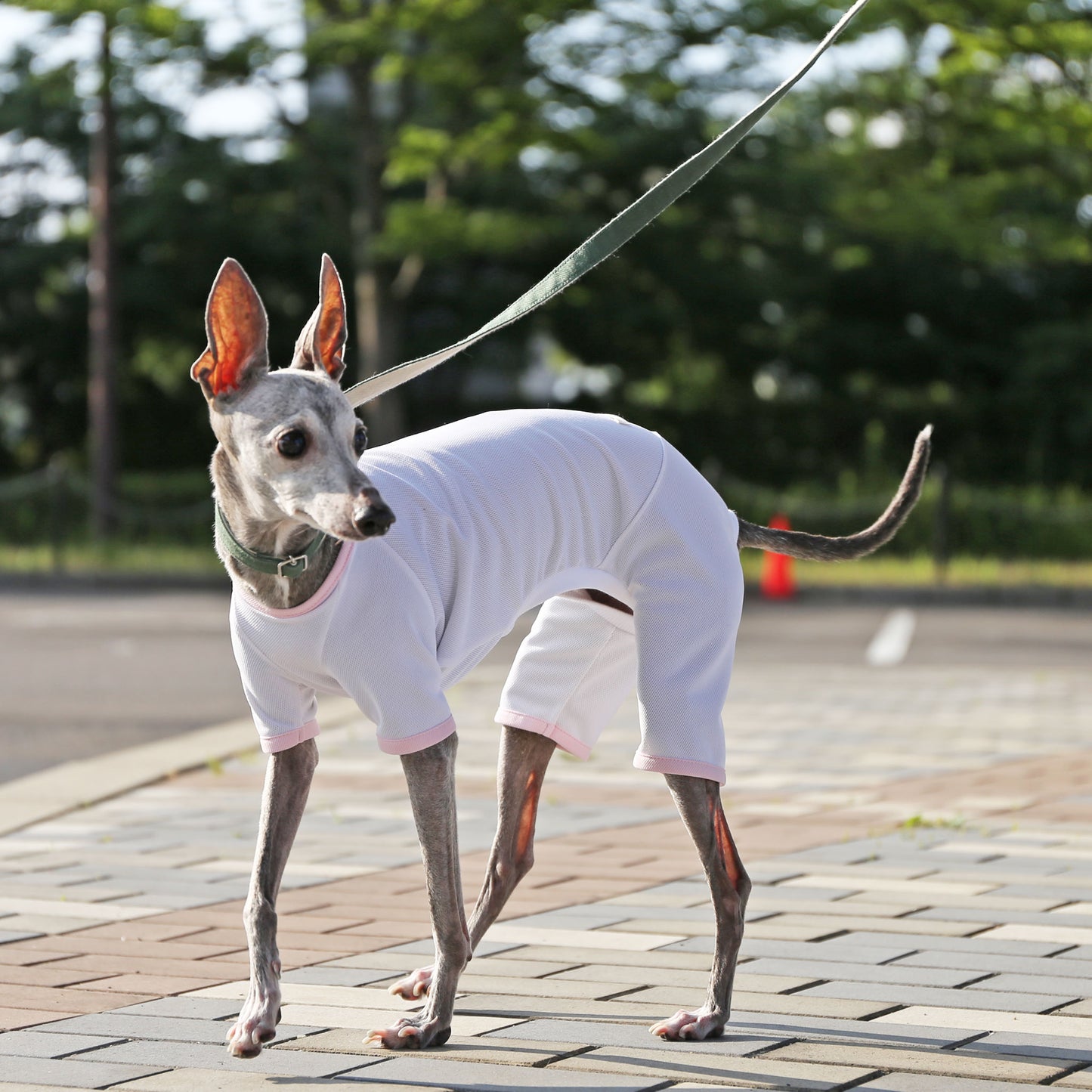 Sports mesh rompers(white) - Italian Greyhound Clothes