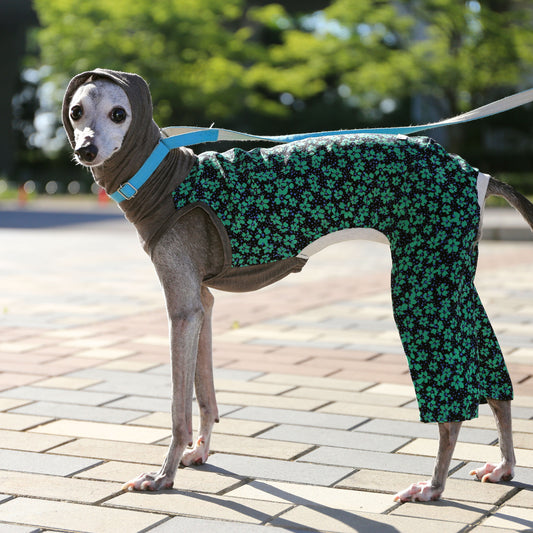 IPEKA & French Linen (green×navy)