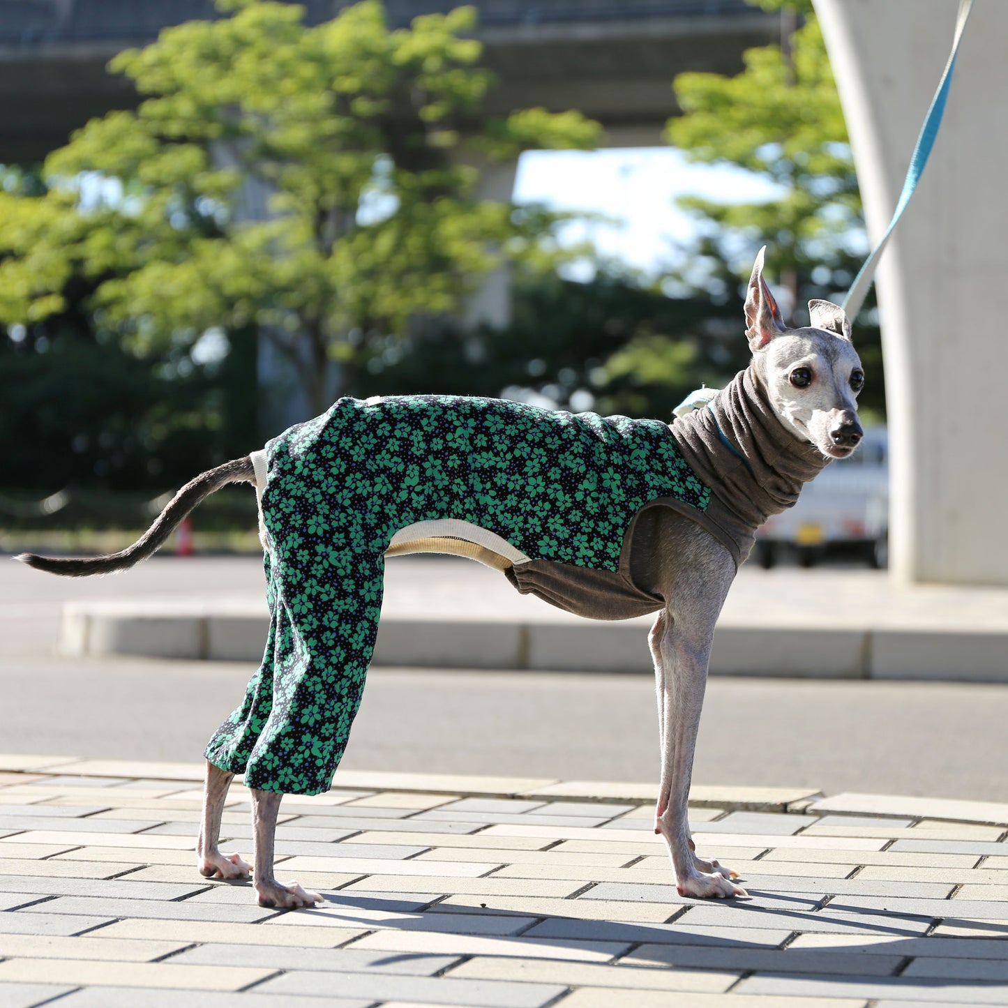 IPEKA & French Linen (green×navy)