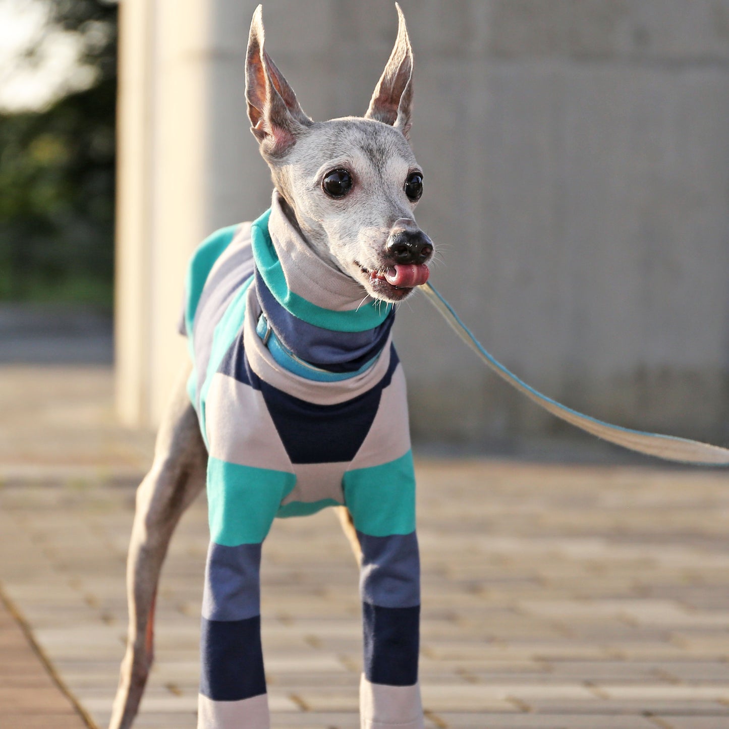 Wide Horizontal Stripes (blue)