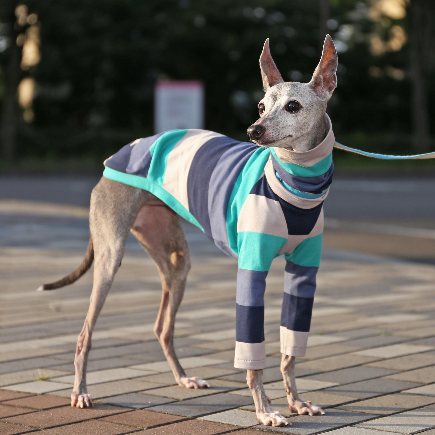 Wide Horizontal Stripes (blue)