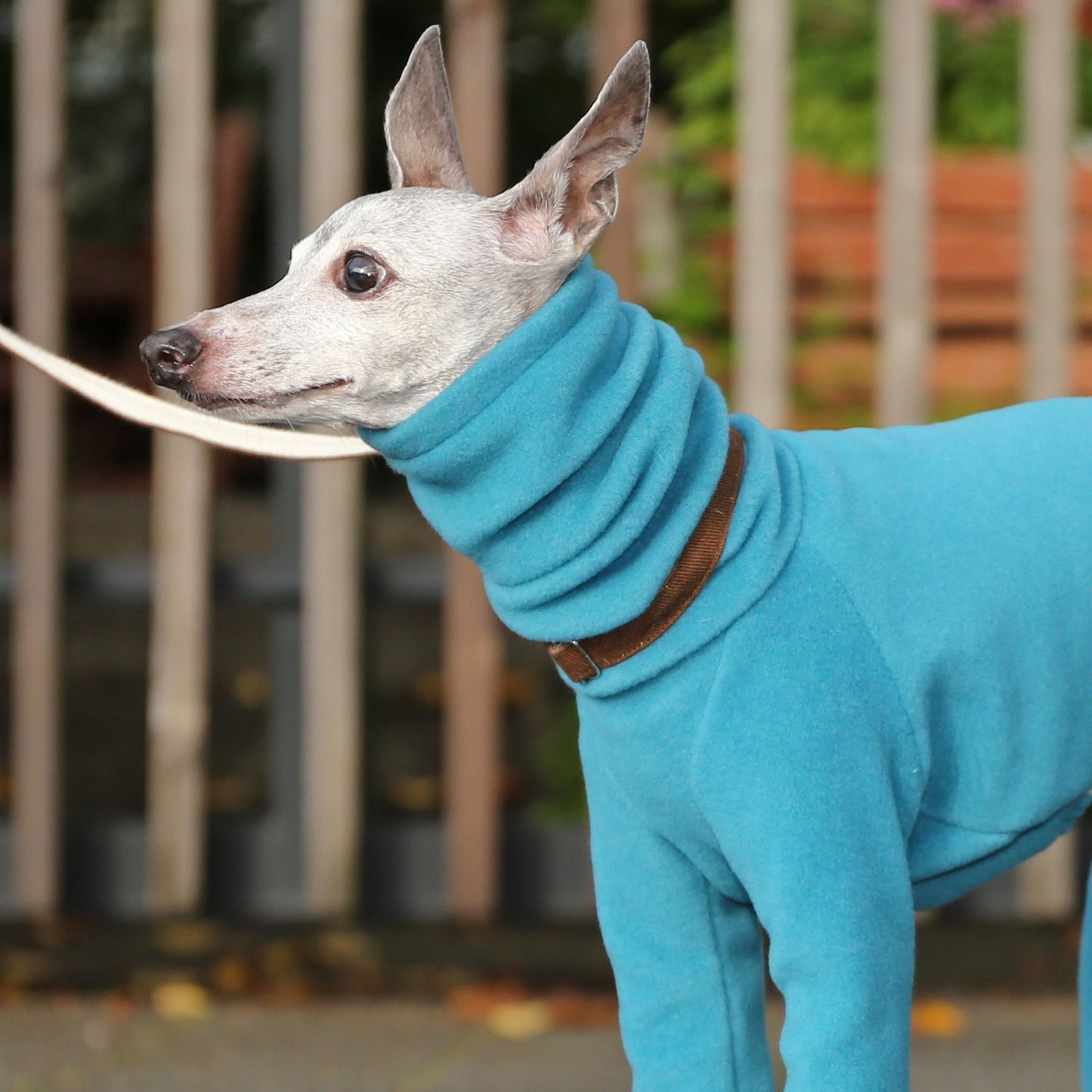 Eco-Fleece (cerulean blue)