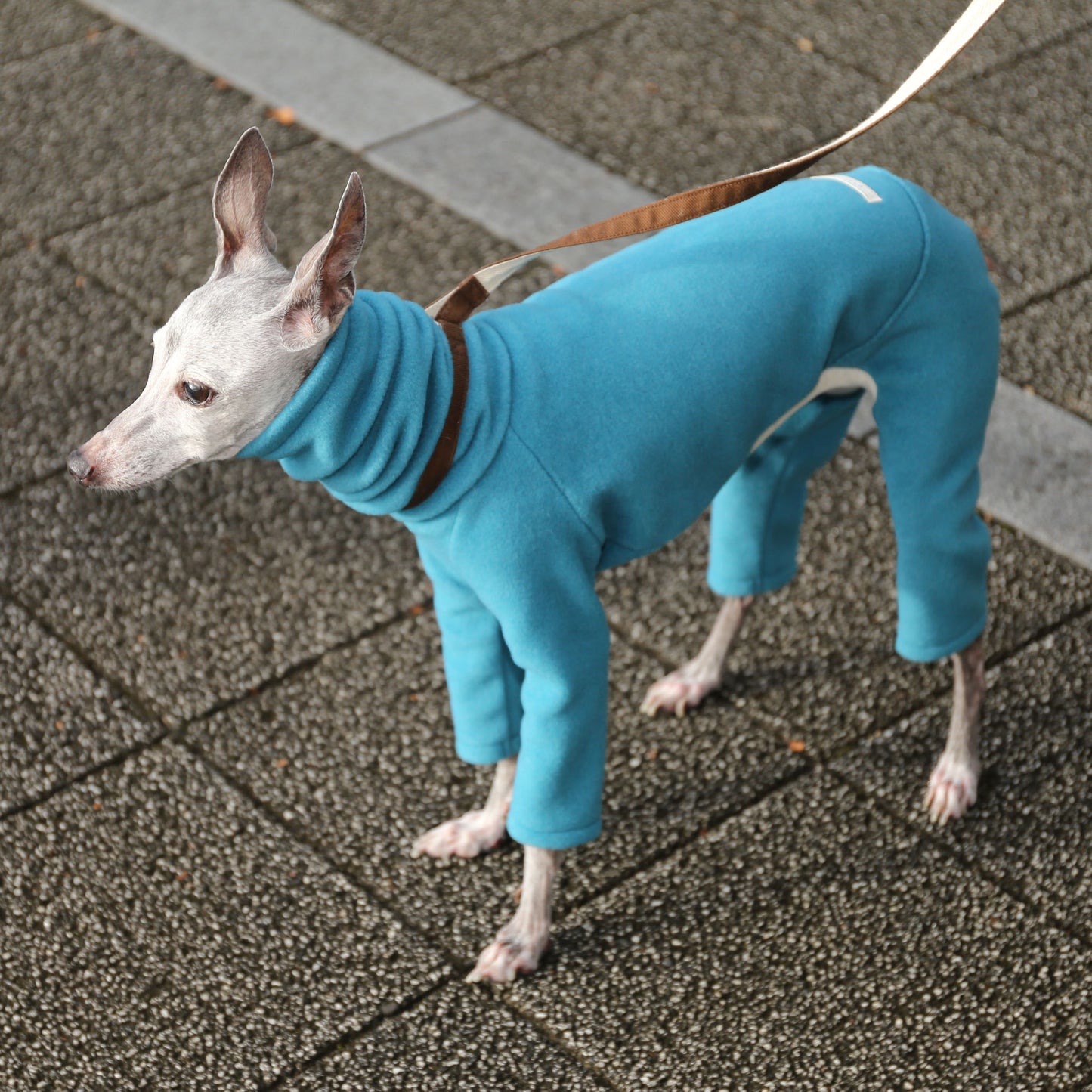 Eco-Fleece (cerulean blue)